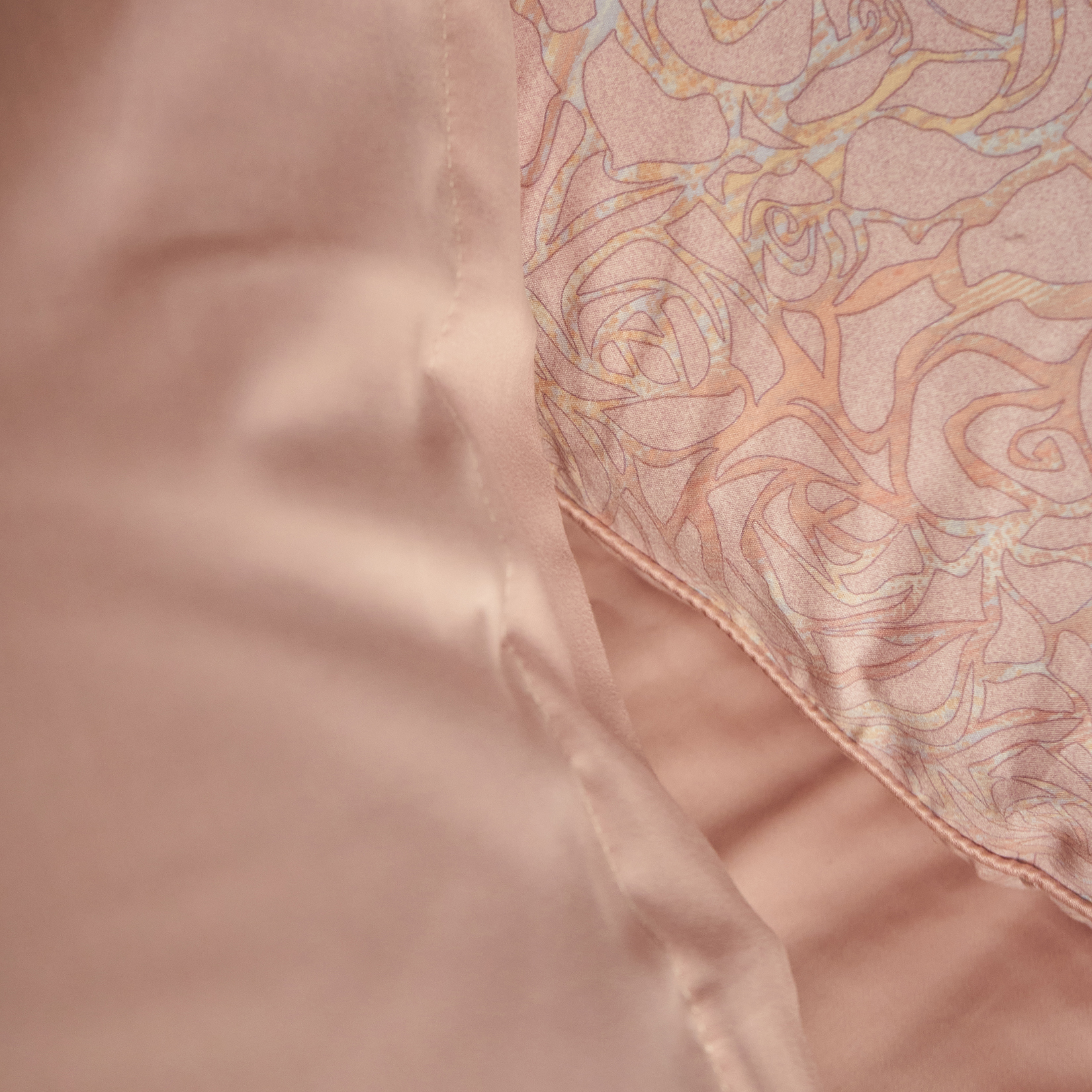 Комплект постельного белья Браш-Тенсель 3001