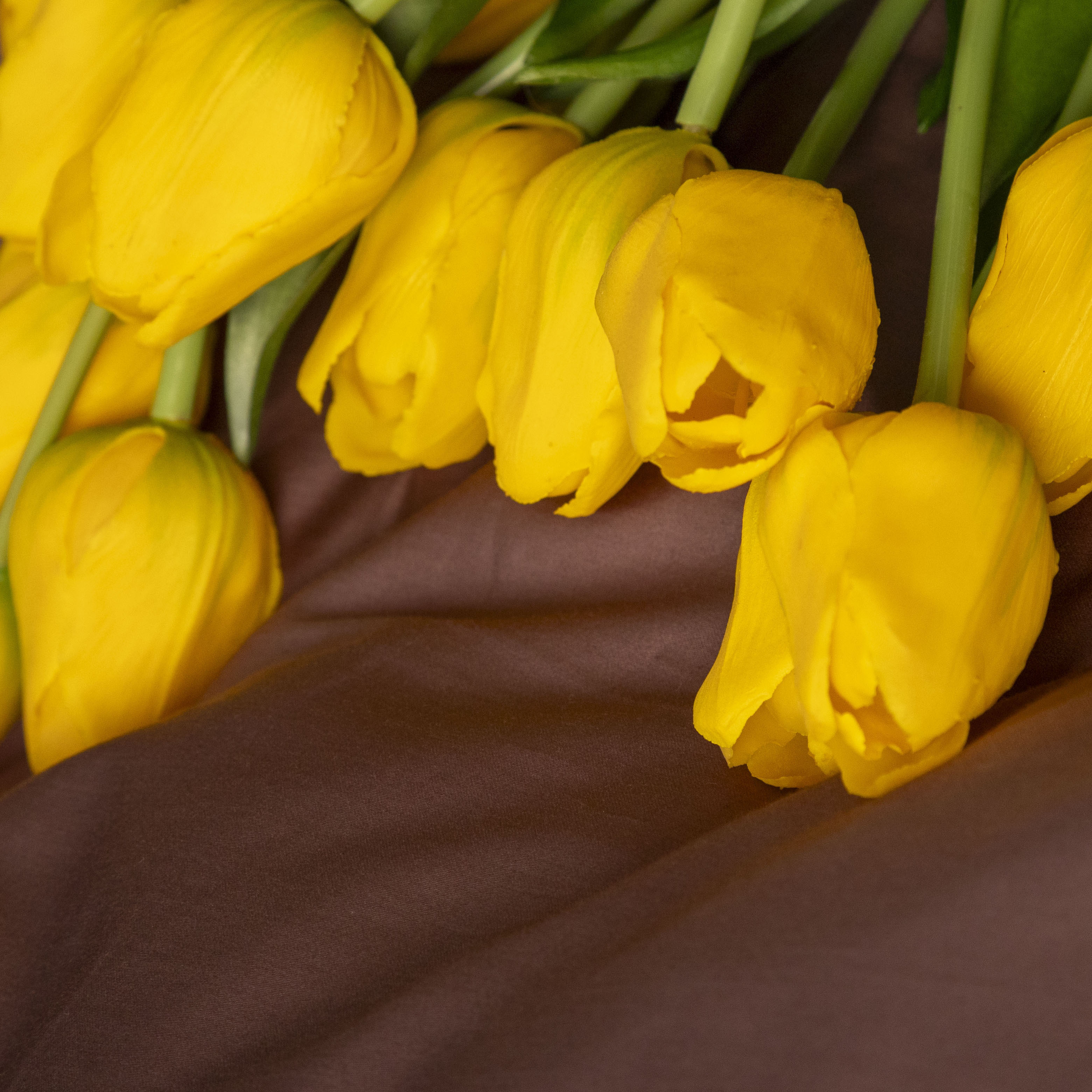 Комплект постельного белья Мако-сатин с модалом кофе М-02