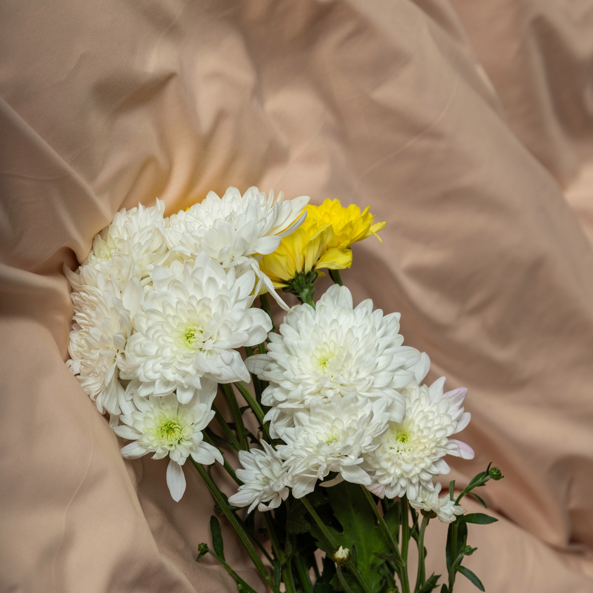 Комплект постельного белья Сатин-Люкс бежевый 2-6821