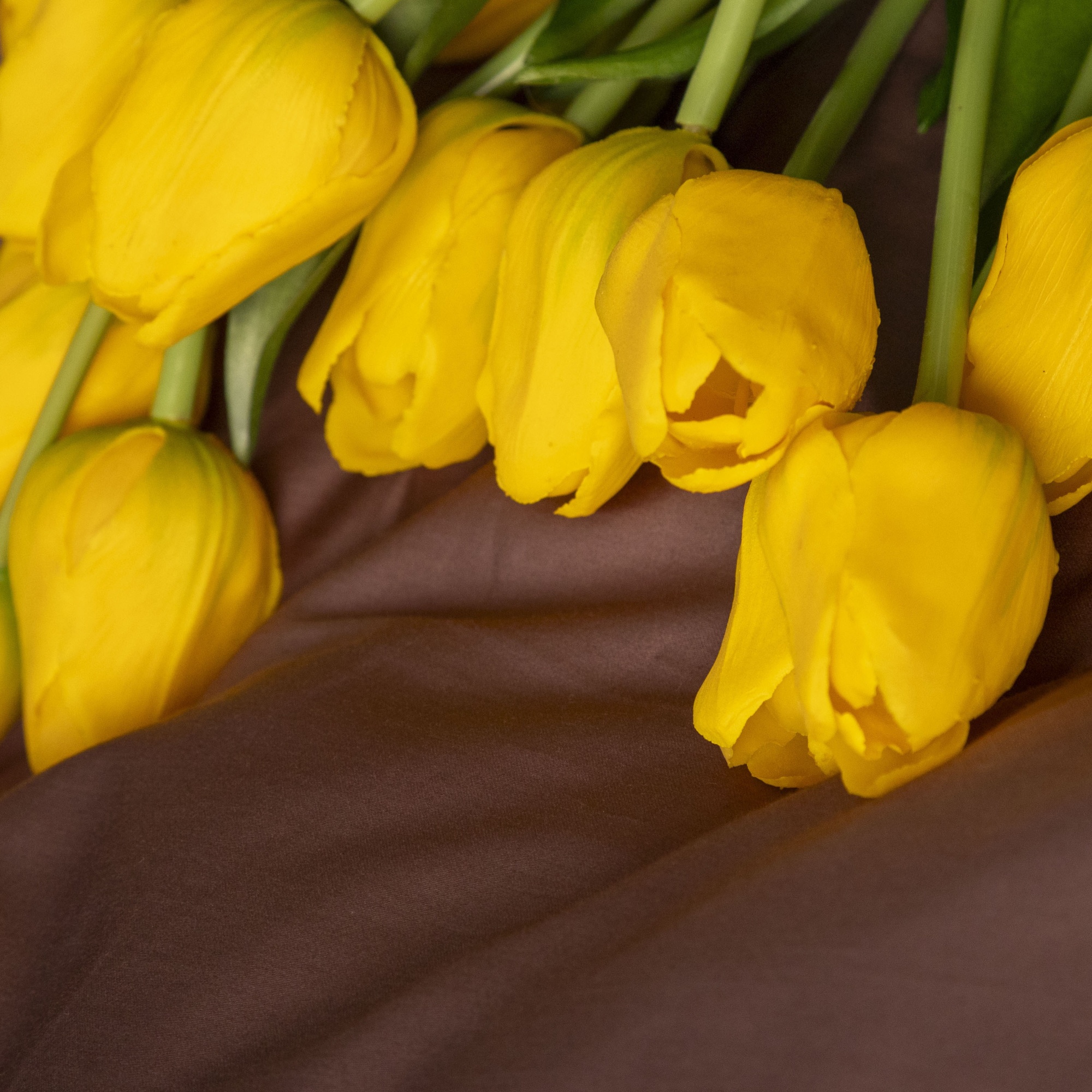 Комплект постельного белья Мако-сатин с модалом кофе М-02