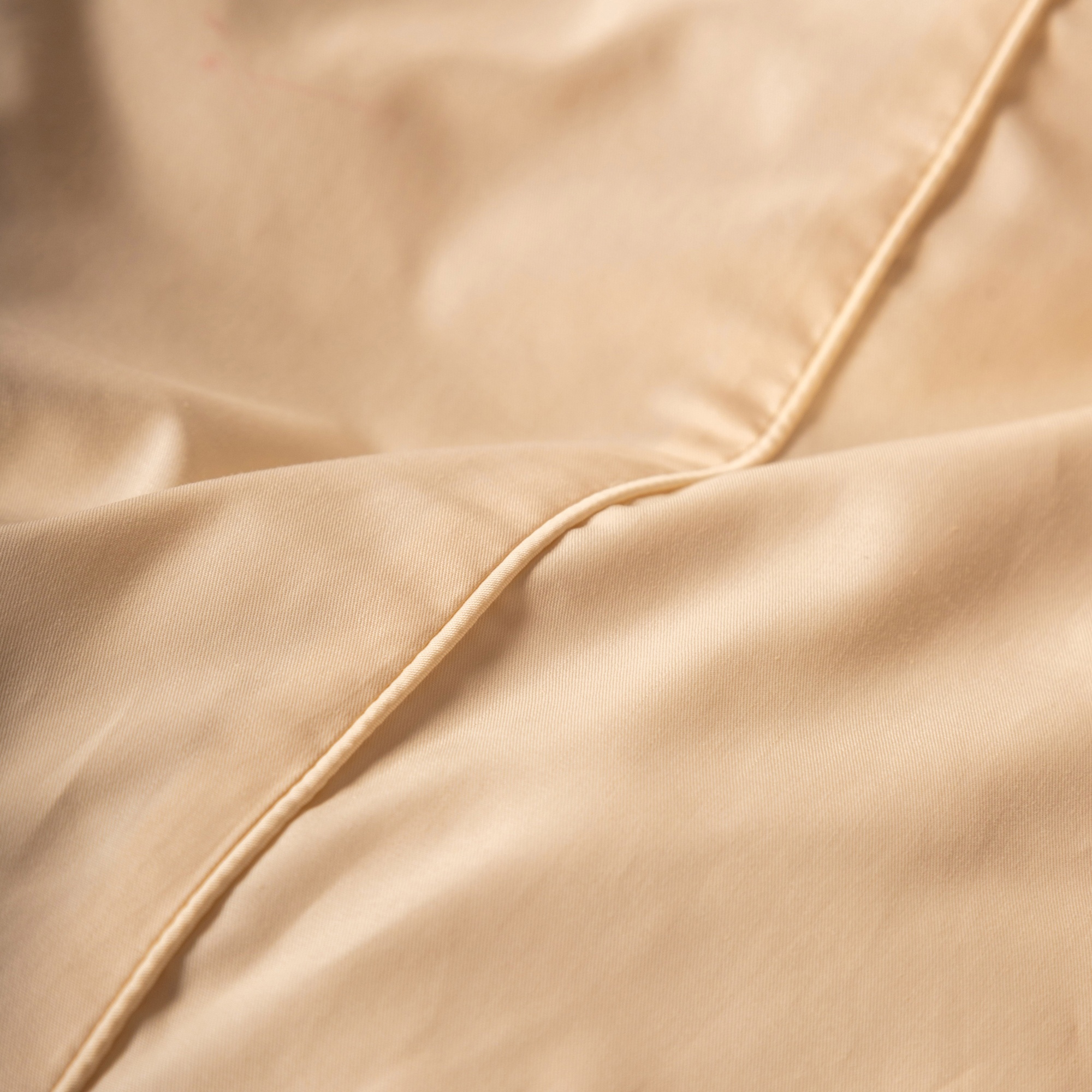 Комплект постельного белья Сатин-Люкс молочный 2-1901