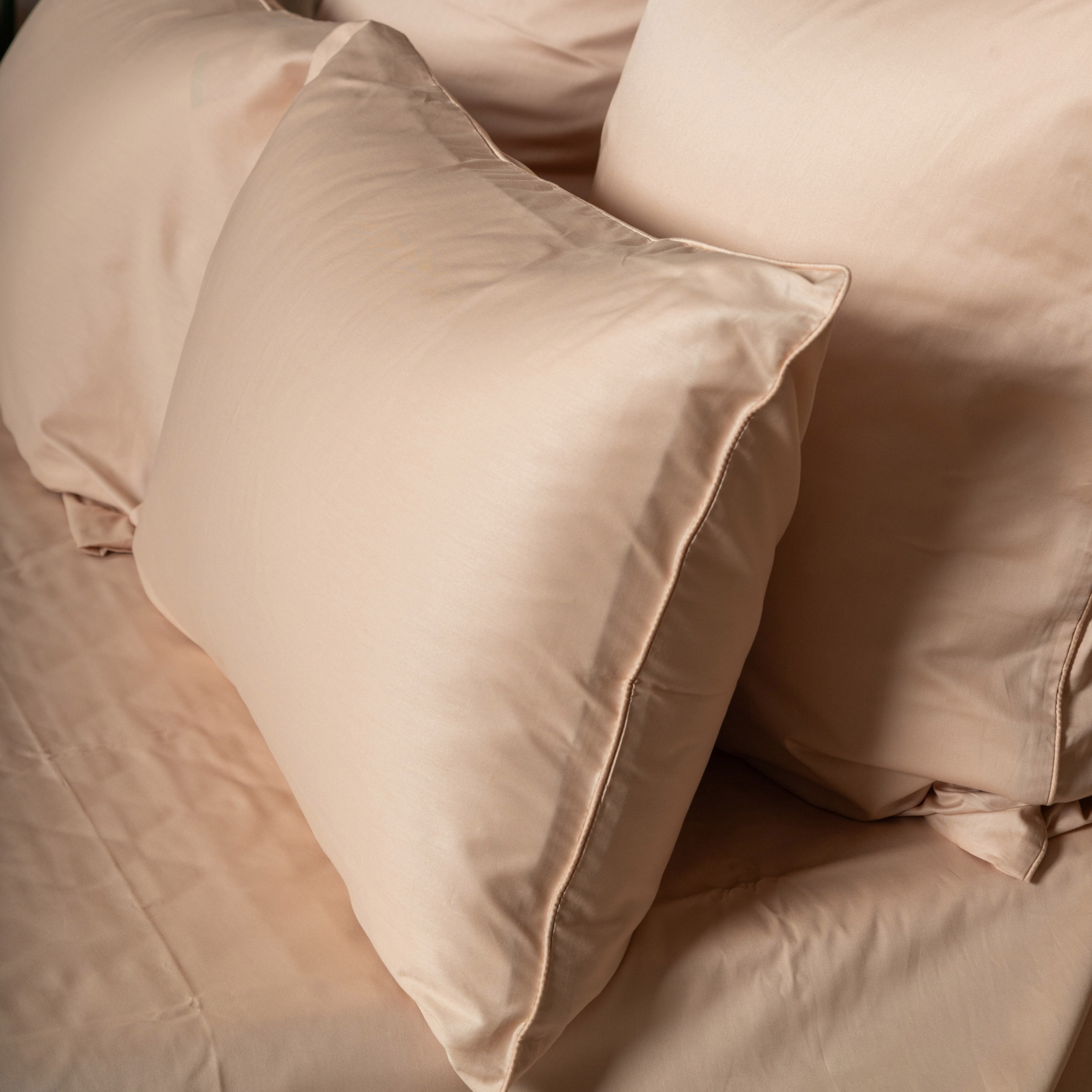 Комплект постельного белья Сатин-Люкс бежевый 2-6821